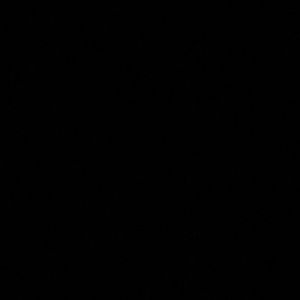 Meet your Posher, Sofia